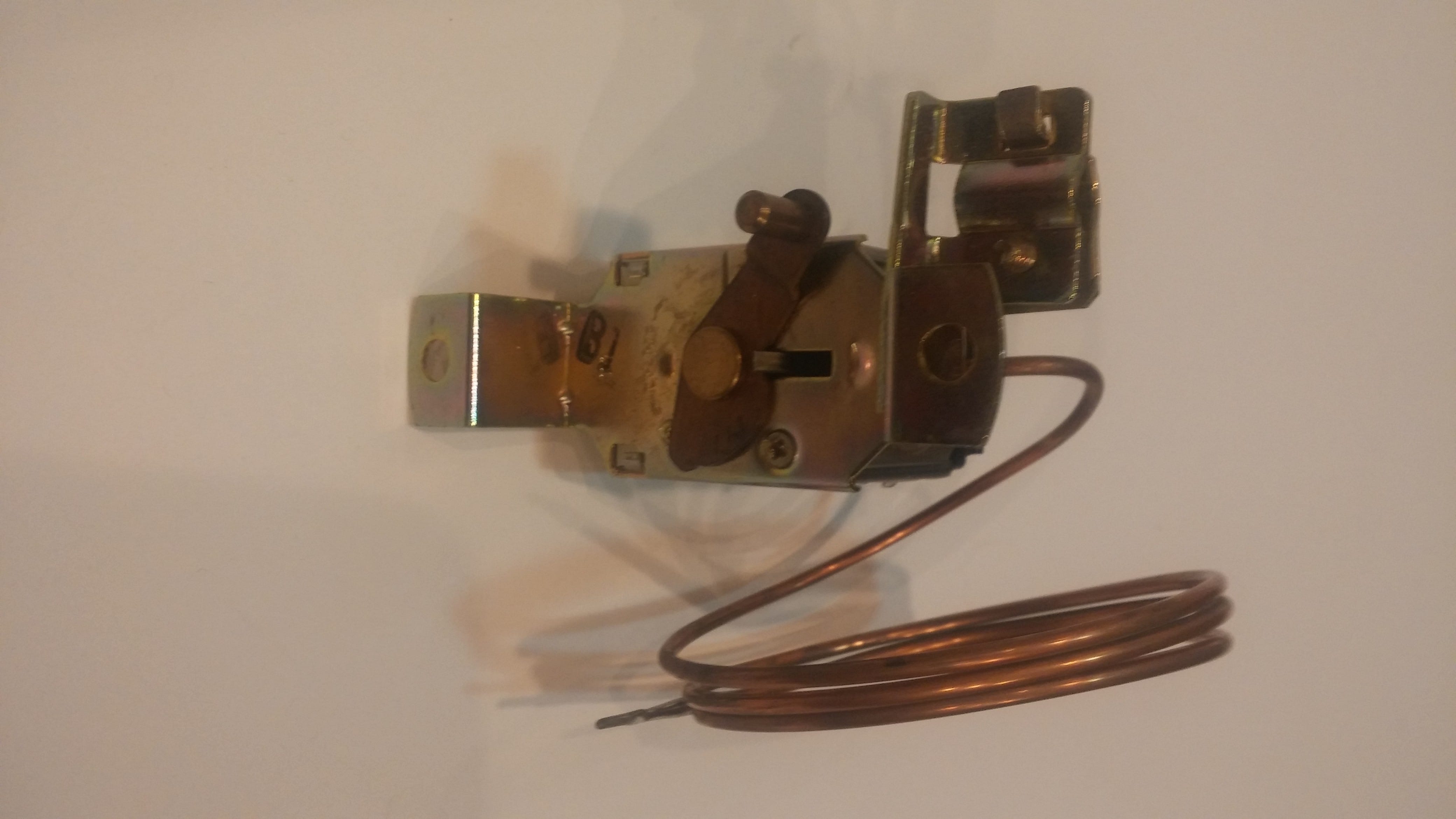 Thermostat Switch AM81000 & A451040666 Evans